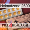 Home Zone 2600 41